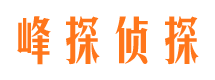 木垒外遇调查取证